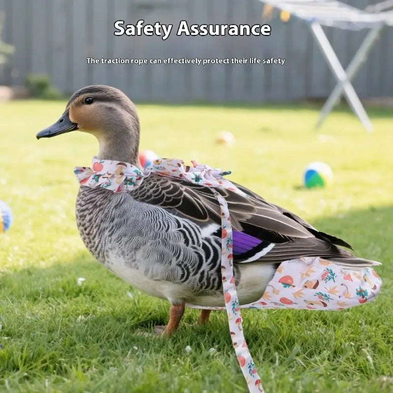 1 Fashion Chicken Duck Vest Diaper Hen Belt Pet Traction Rope Qme