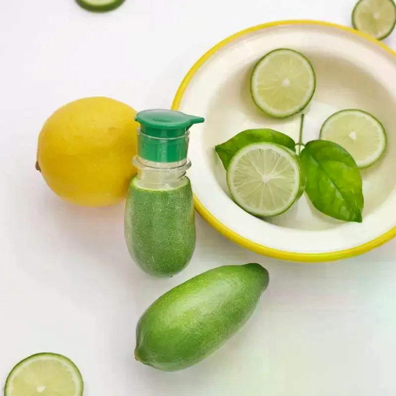 Portable Lemon Squeezer PP Resuable Lightweight Juices Reamer Qme