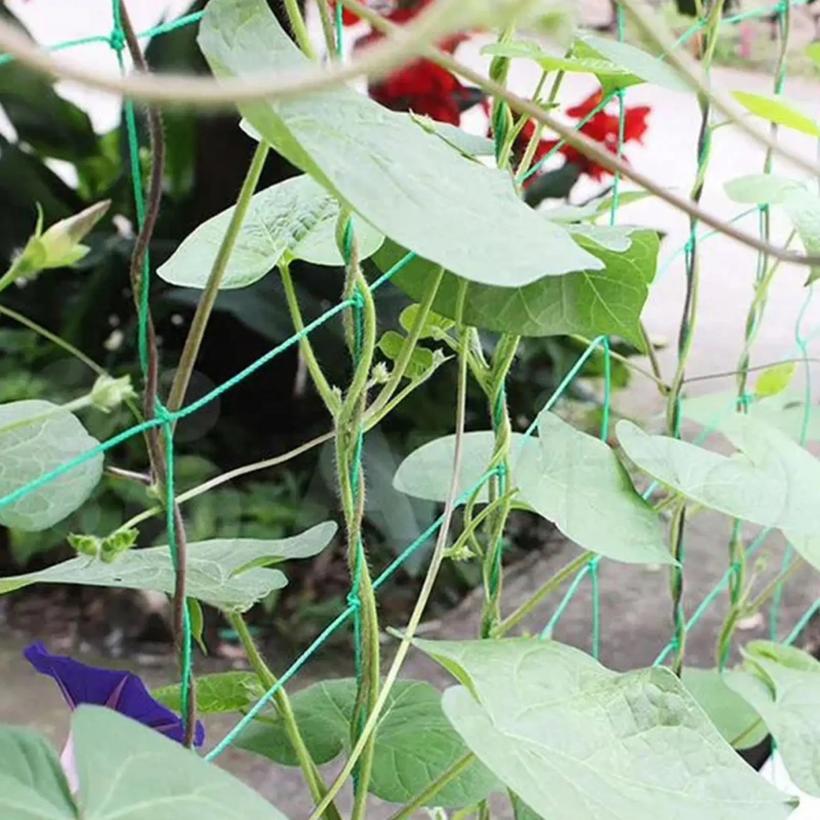 Plant Trellis Netting Heavy-Duty Elastic Plant Net Flexible Plant Support for Beans Tomatoes Peas Pumpkin Flowers Garden Netting Qme