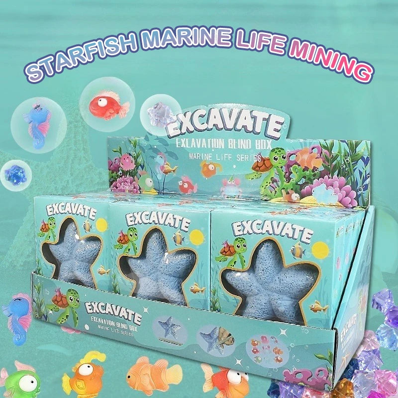 Starfish Marine Life Gemstone Dig Archaeological Excavation Toy Qme