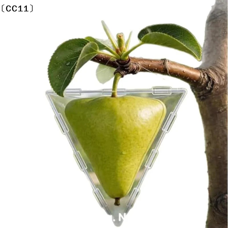 Mini Cube Triangle Fruit Shaping Mold Reusable Transparent Plastic Qme
