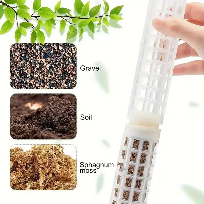 2 4 Monstera Plants Water Moss Poles Plastic Plant Stakes Indoor Qme