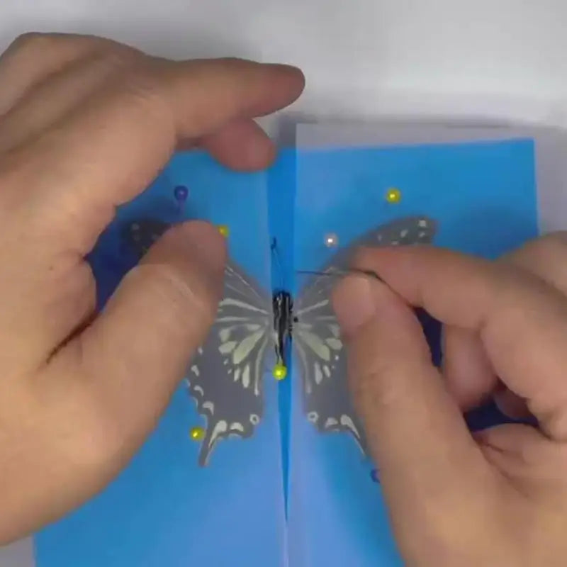 White Blue Insect Pinning Board Double Sided EVA Foam Combined Plates Qme