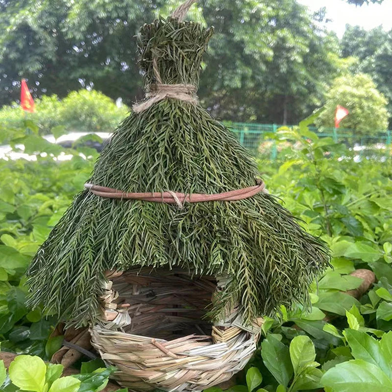 Hummingbird House Garden Outdoor Decoration Window Hideaway Unique Qme