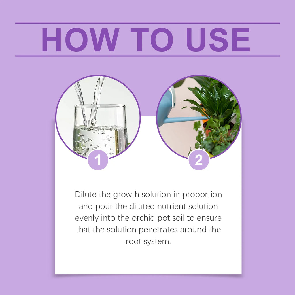 Orchid Plant Growth Agent Effectively Promoting Root Differentiation and Growth Extend Flowering Period Orchid Nutrient Solution Qme