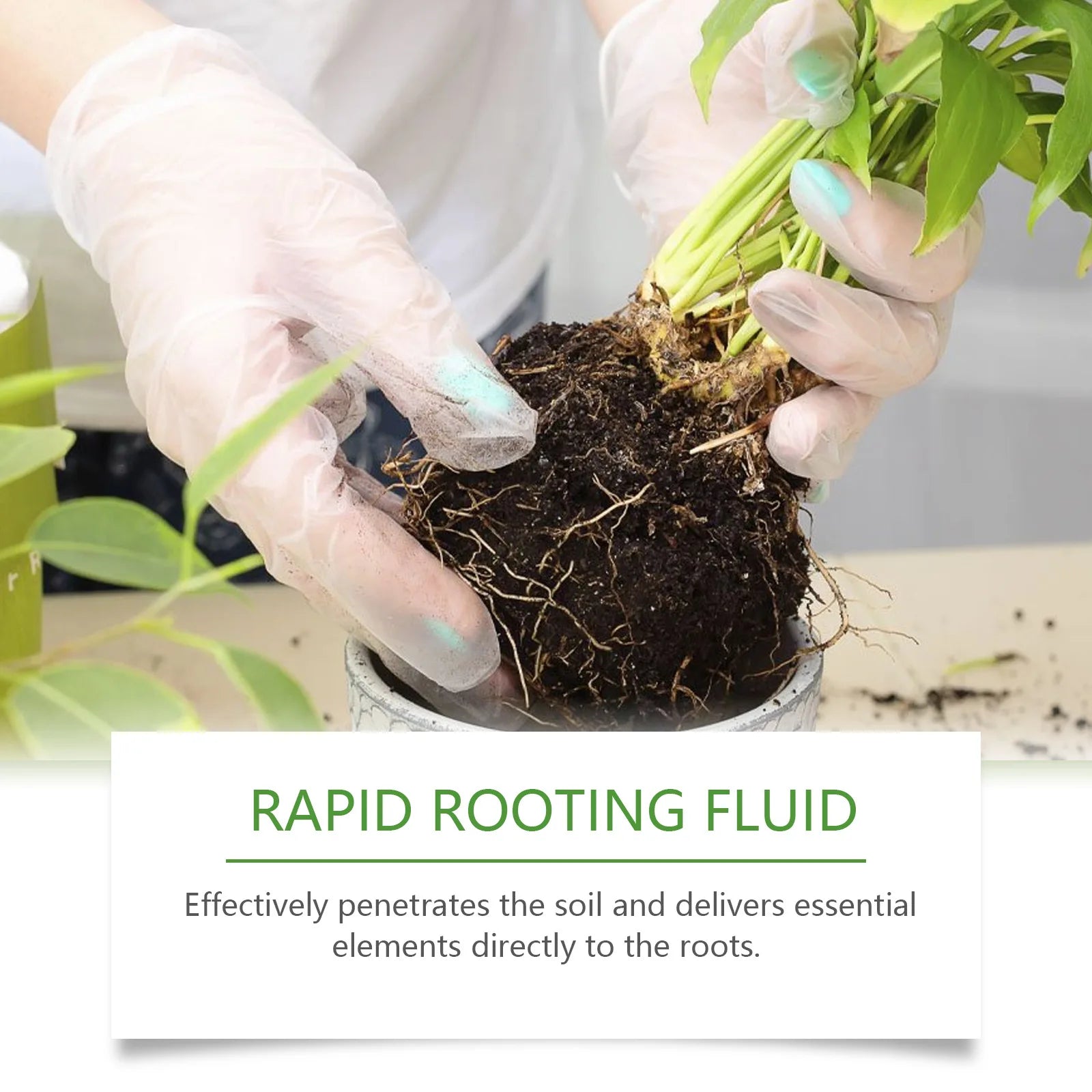 100ml Succulent Root Booster Potted Plant Nutrient Rapid Rooting Stimulator Fertilizer Supplement for Healthy Root Development Qme