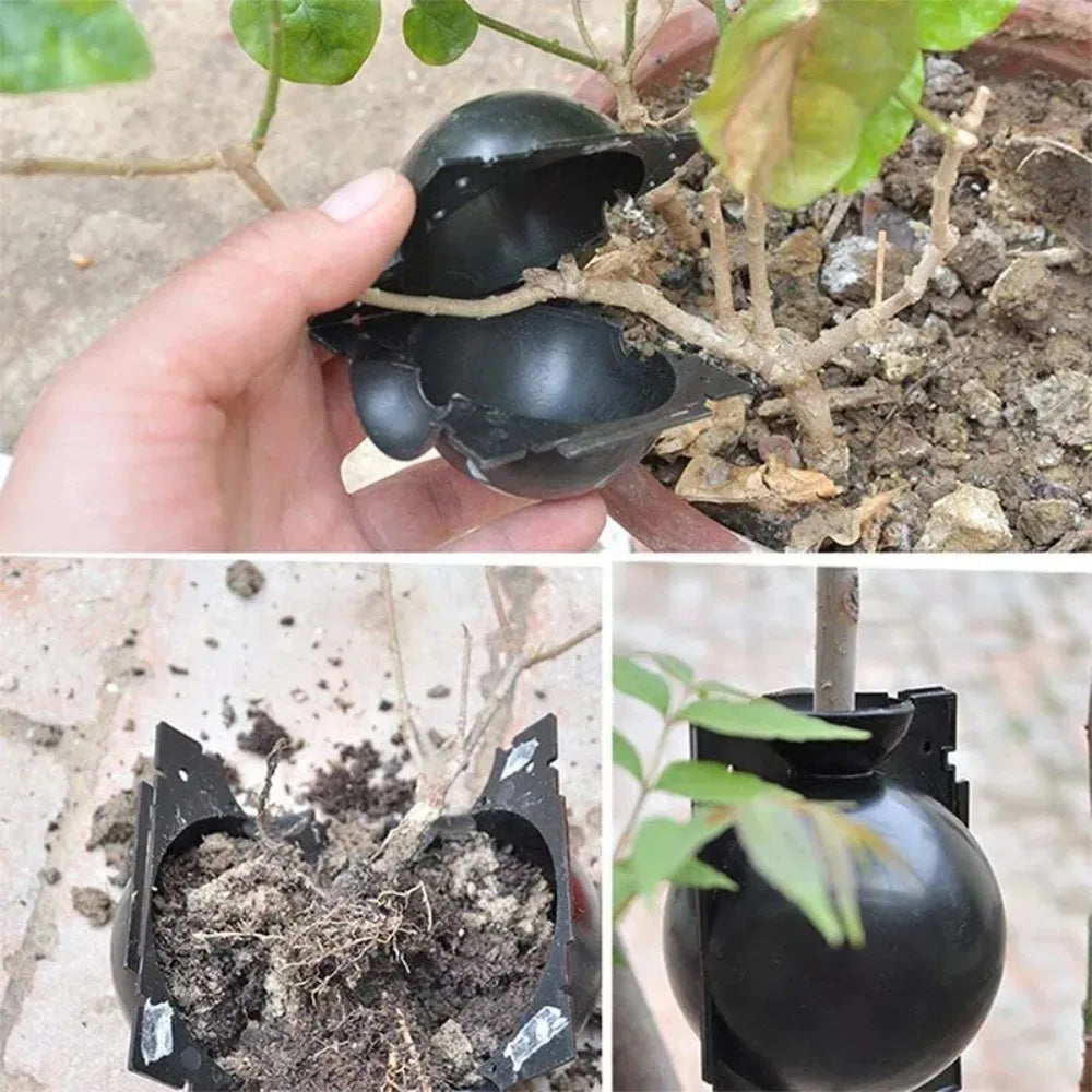 10PCS Plant Root Growing Ball Reusable Plants Rooting Ball Reproduction Device Garden Cuttings Grafting Rooting Propagation Ball Qme