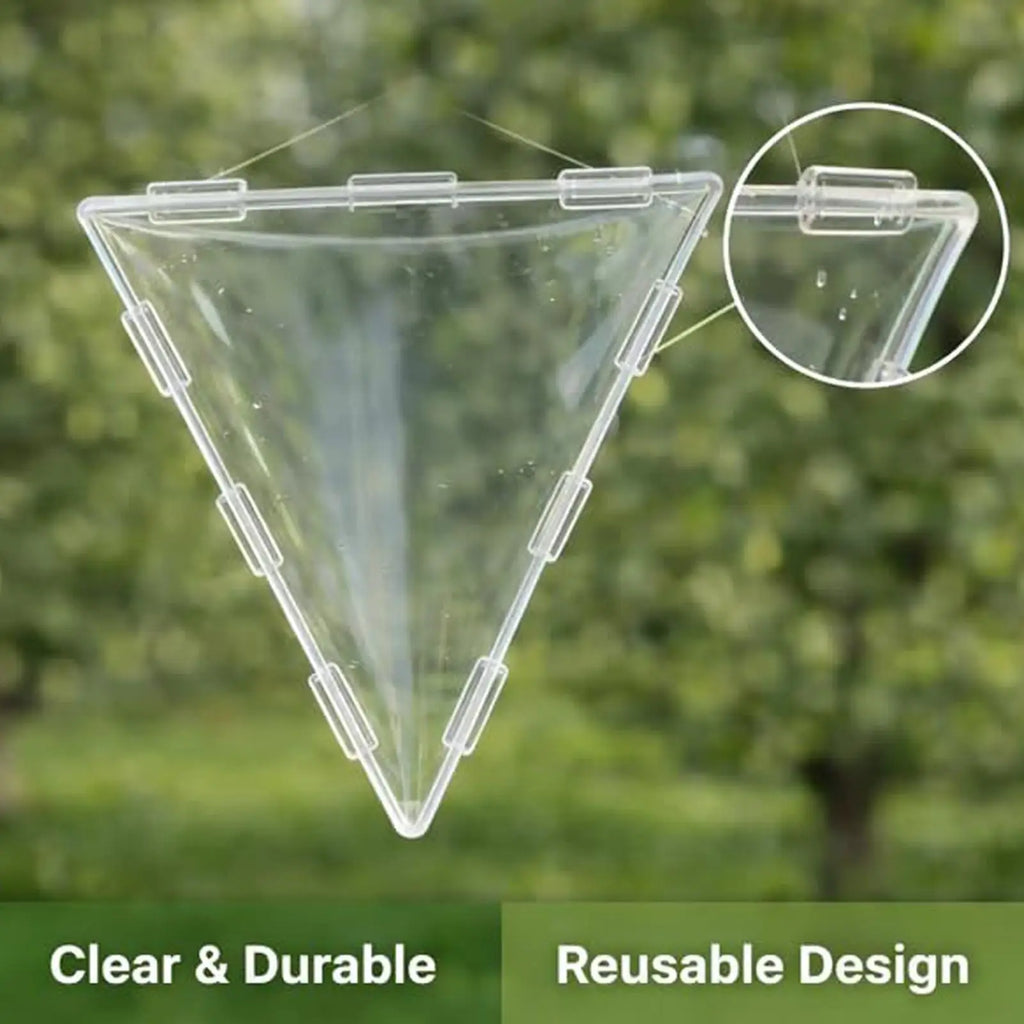 Vegetable Shaping Mold Triangular and Cubic Transparent Mould Reusable Fruit Growing Molds for Cucumber Tomato Strawberry Qme