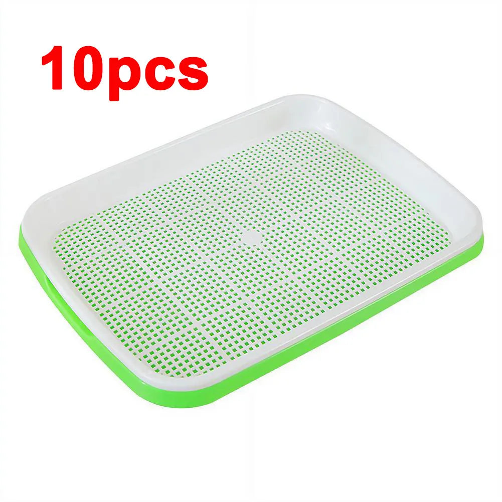 Soilless Planting Seedling Tray Seed Sprouter Germination Growing Qme 10pcs