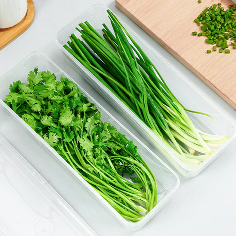 Storage Crisper Sealed Fridge Organiser Refrigerator Boxes Scallions Qme