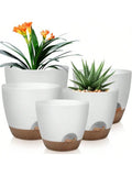 Indoor Decorative Flower Pot Drainage Hole 6-Pack Self-watering Qme 5pcs