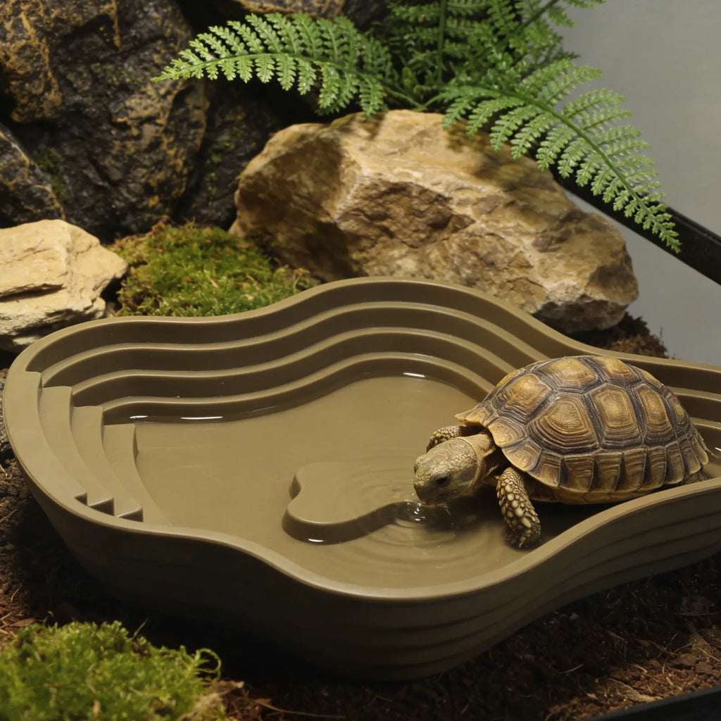 Extra Large Turtle Reptile Bathing Pool Stable Deep Soaking Tub Water Dish for Tortoise Hydration Indoor Outdoor Reptile Soak Qme