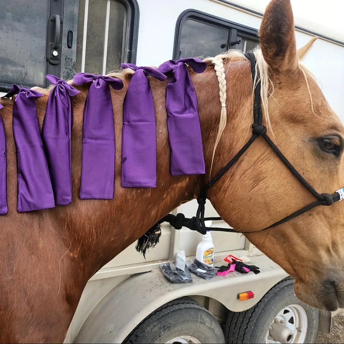 Premium Horse Mane Protection Sleeve Anti-friction Guard Stops Qme PURPLE