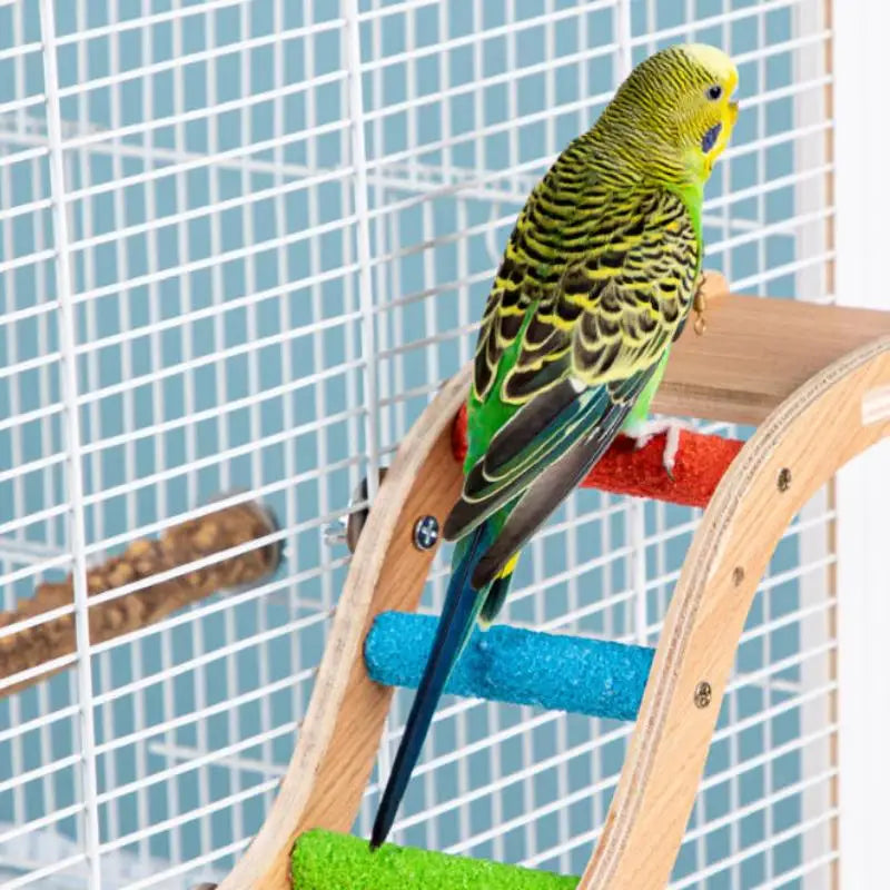 Teeth Grinding Pole Stand Toy Interactive Bird Accessories 6 8Step Qme
