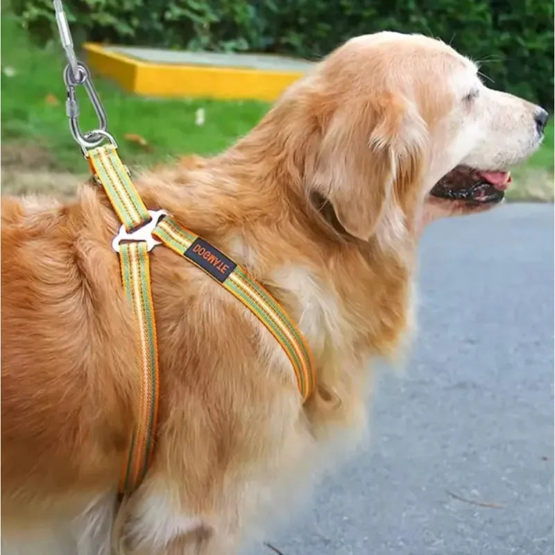 Double-headed Dog Tie Out Cable Leash Reaction Rope Metal Buckle Qme