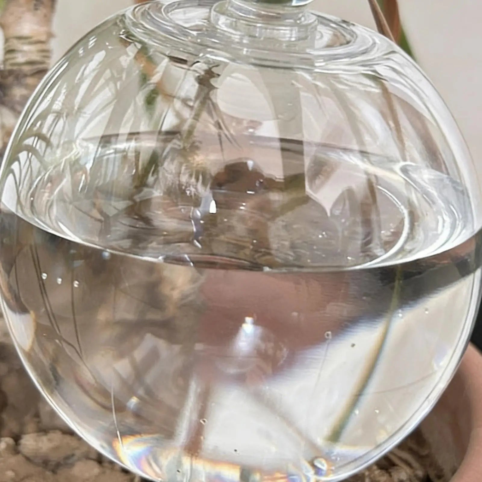 Plant Watering Bulbs 4 Pieces with Lid Clear Automatic Water Globes Plant Watering Devices for Indoor Outdoor Home Yard Patio Qme