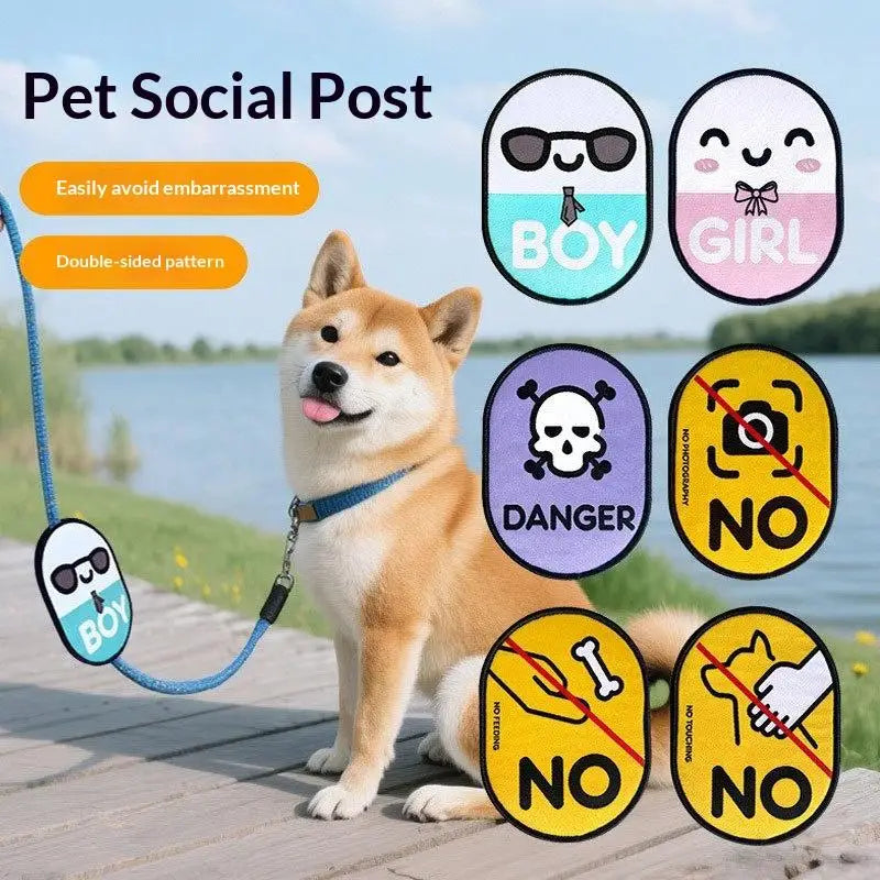 Anti Feeding Warning Sign Pet Gatherings Outingspet Dog Social Qme