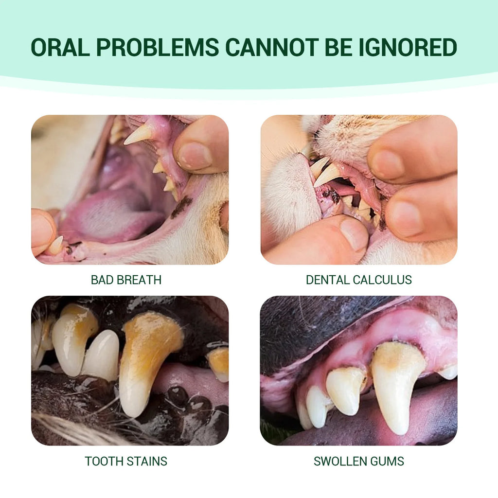 Pet Teeth Cleaning Gel Bad Breath Freshener Dog Prevent Calculus Cat Remove Tooth Stains Whitening Deodorant Pet Oral Repair Gel Qme