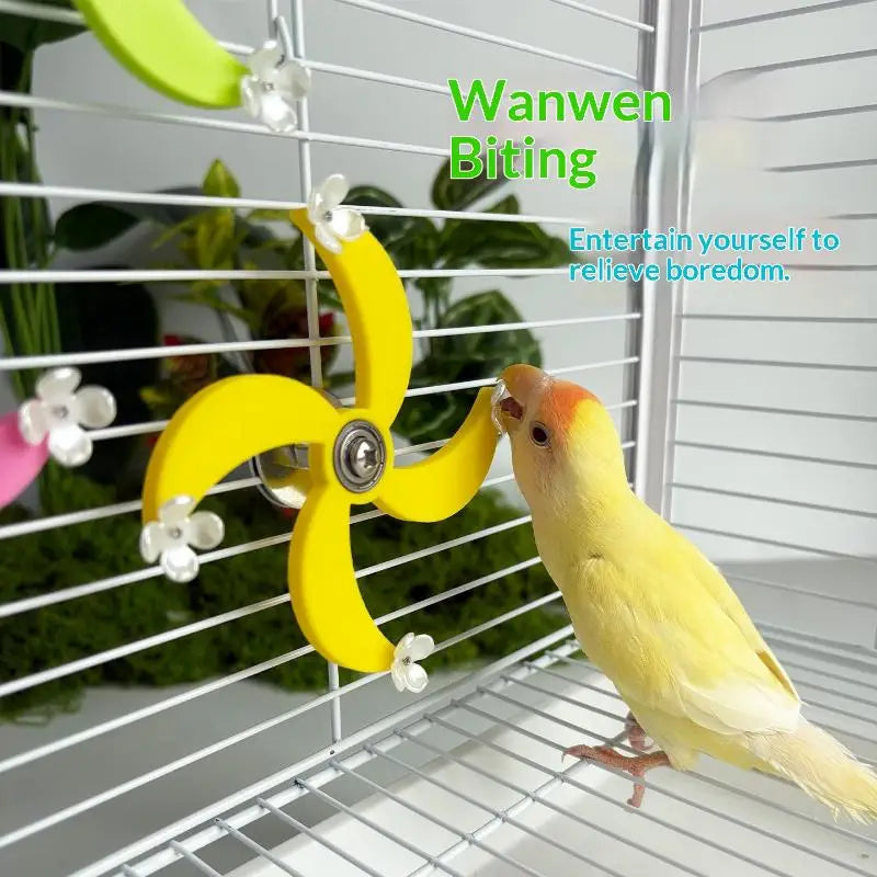 Bird Mental Stimulation Entertainment Gnawing Cage Accessories Toy Qme
