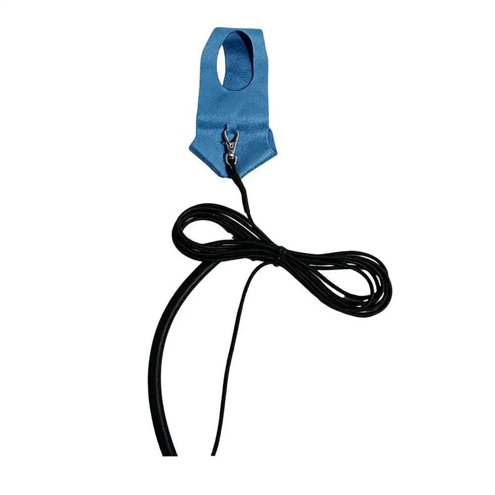 Bird Harness Parakeet Traction Straps Bird Flying Training Rope Kit for Animal Lovers Trainers Walking Backyard Park Vet Visit Qme Blue L