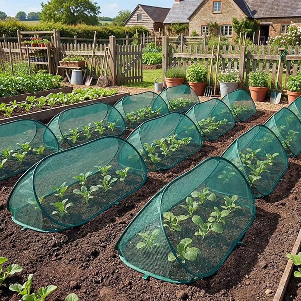 Folding Plant Protection Netting Anti-frost Pop Up Mesh Plant Cage Breathable Insect-proof Plant Shade Cover Flower Beds Qme