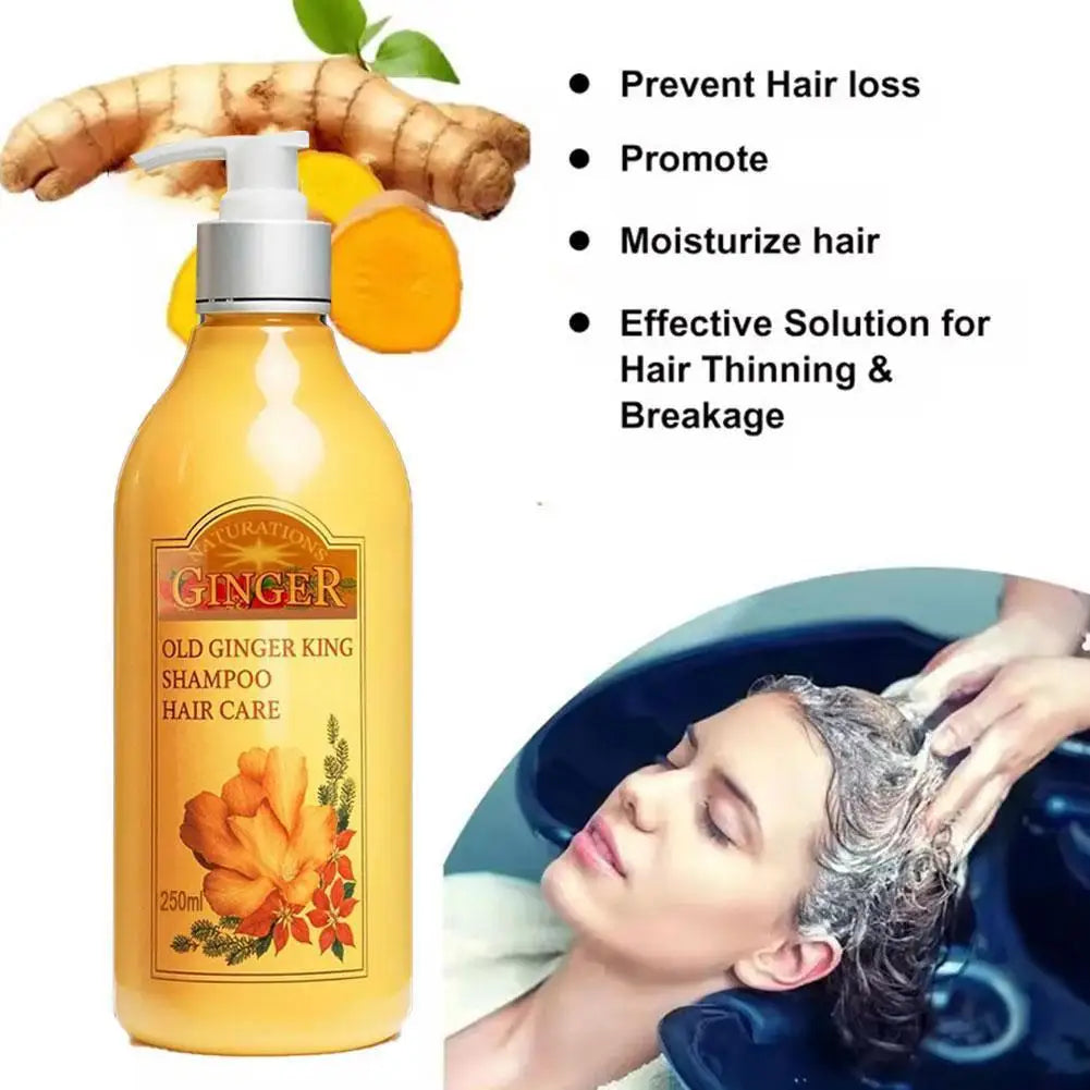 250ml Old Ginger Juice Hair Shampoo Professional Hair Scalp Treatment Oil Control Dense Anti Hair Loss Qme