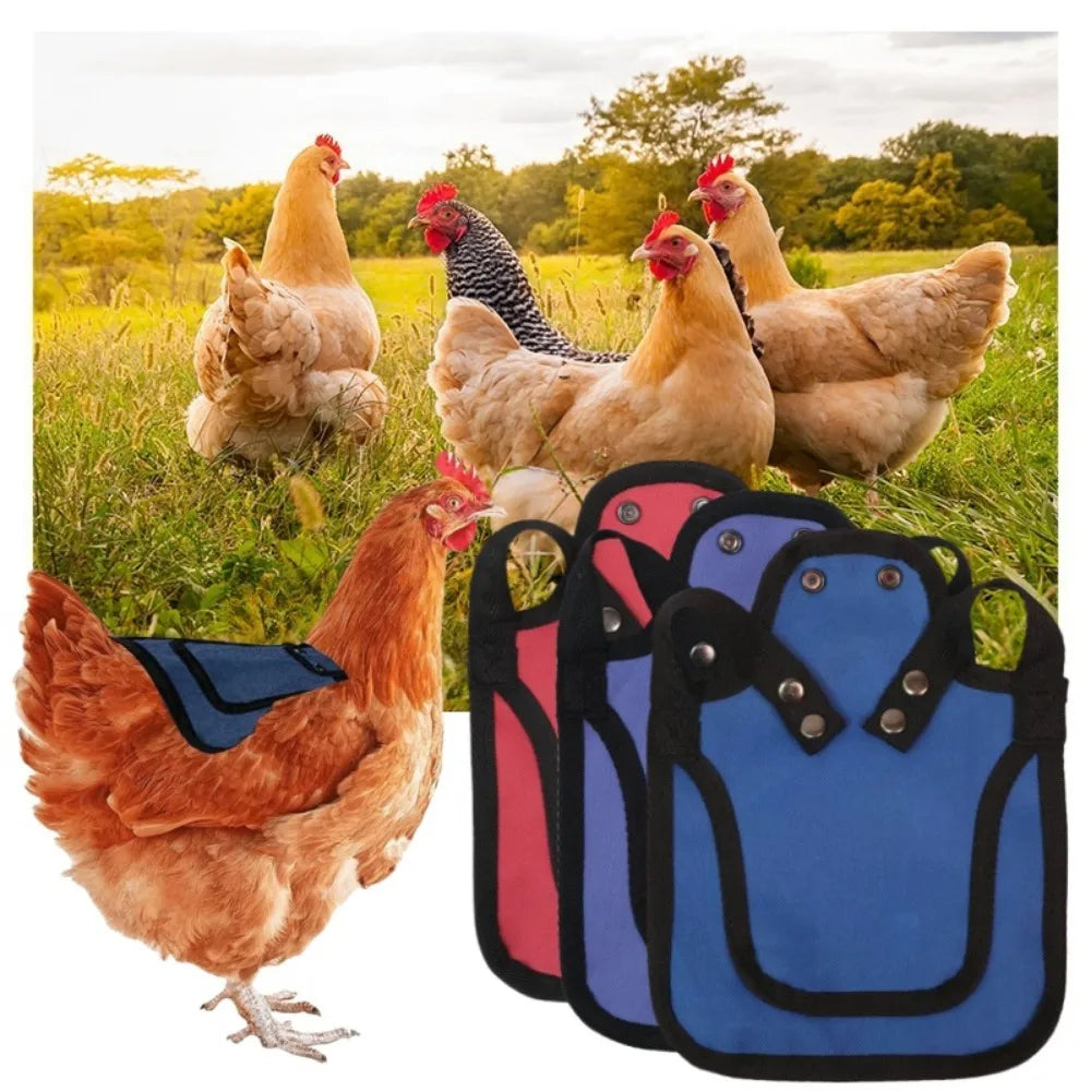 Adjustable Chicken Saddle Feather Waterproof Anti Injury Protection Tool Feather Back Jacket Hen Protective Apron Pet Supplies Qme