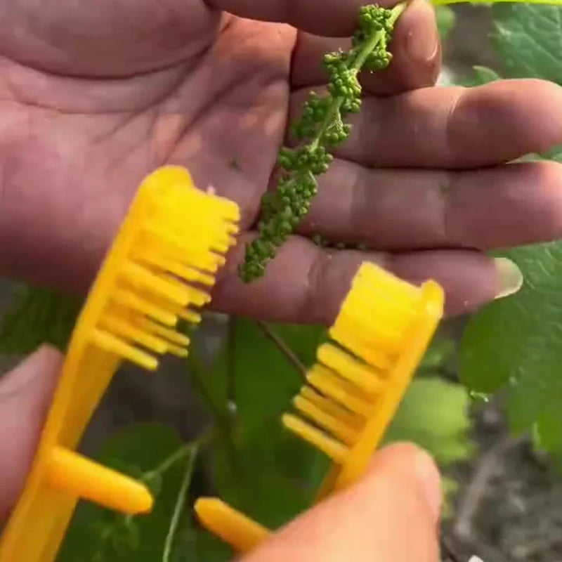 Grape Pruning Clip Thinning Tool Handhled Fruits Bud Flower Farm Qme