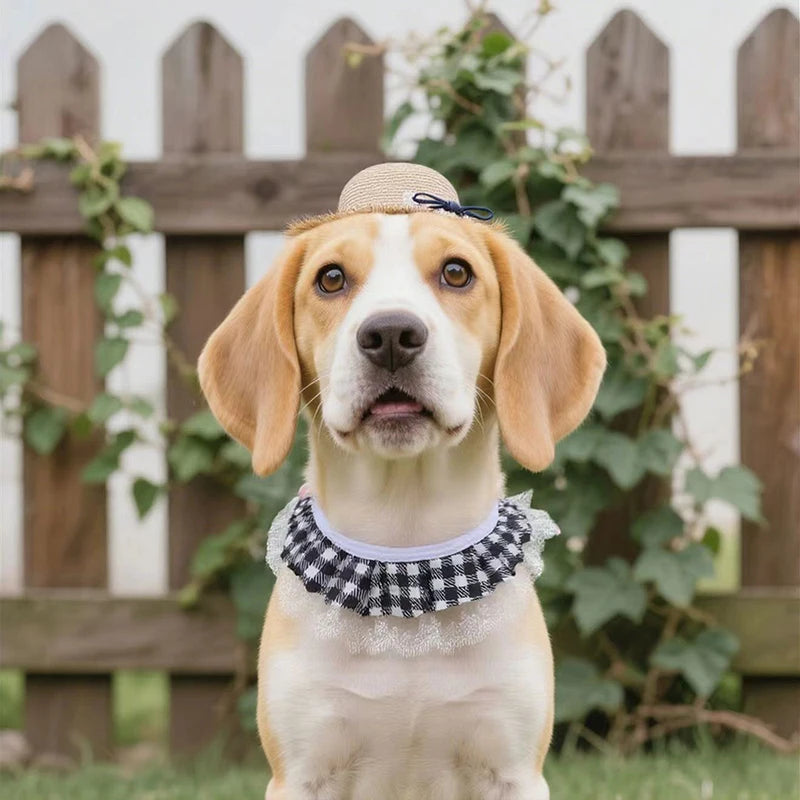 Wear Windproof Rope Puppy Straw Hat Creative Porch Pet Dog Cat Qme