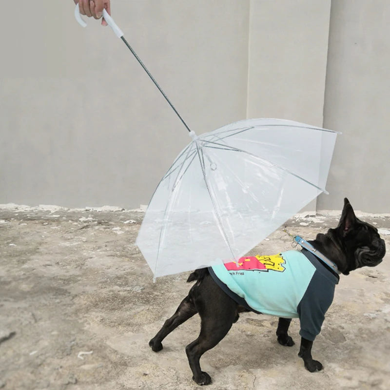 Small Dogs Adjustable Doggy Umbrella Pet Leash Rainproof Snowproof Dog Qme