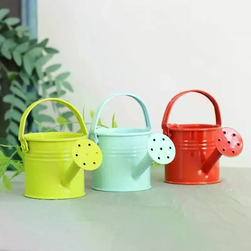 New Metal Watering Can Garden Flower Kettle Mini Small Water Spraying Pot Large Capacity For Kids Adult Qme