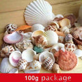 100g Mixed Sea Beach Shells Crafts Seashells Aquarium Decor Photo Props shell coquillage home decoration accessories Qme multi-color