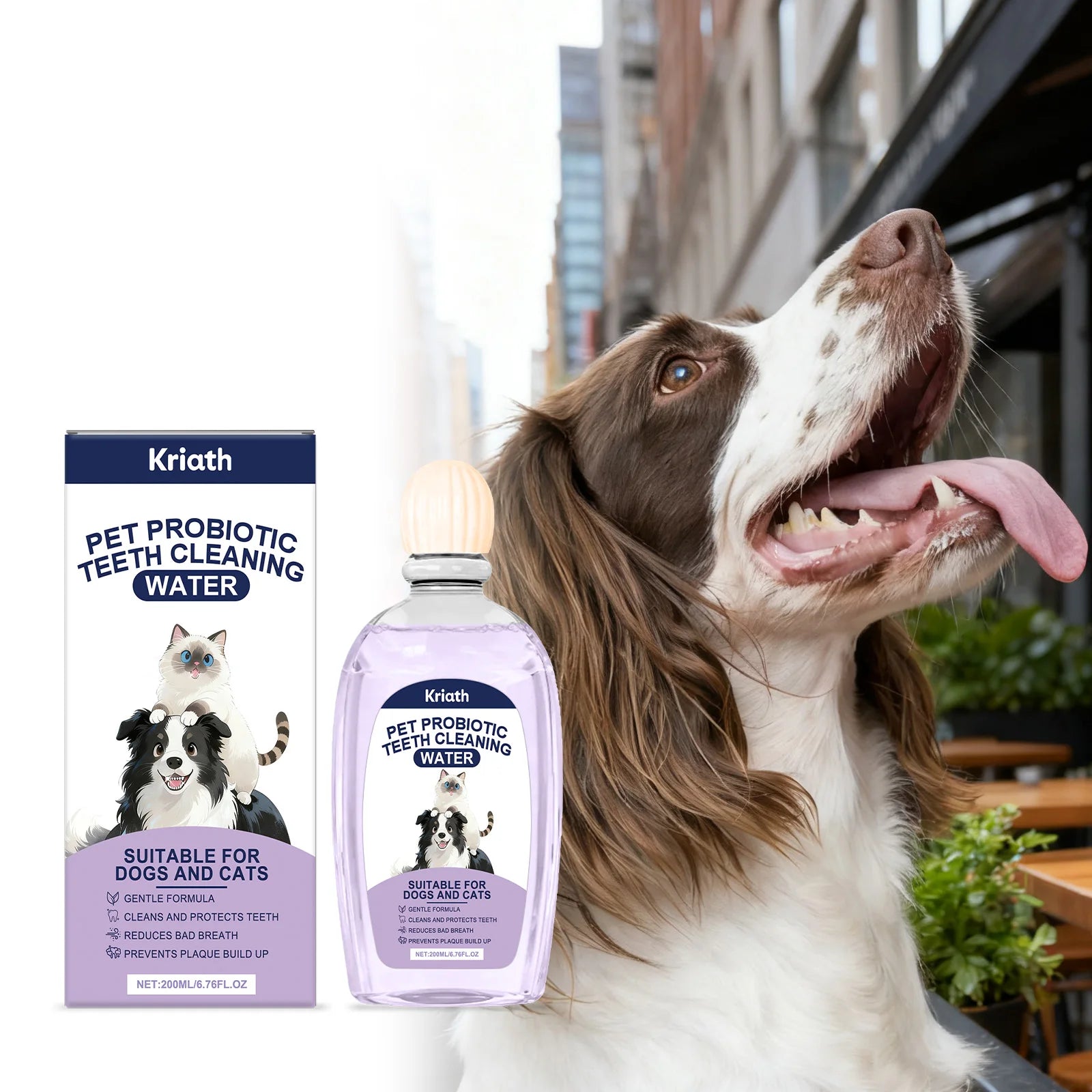 Pet Oral Care Solution Effectively Reducing Plaque and Plaque Accumulation Prevent Bad Breath Promote Gum Health Pet Oral Cleane Qme
