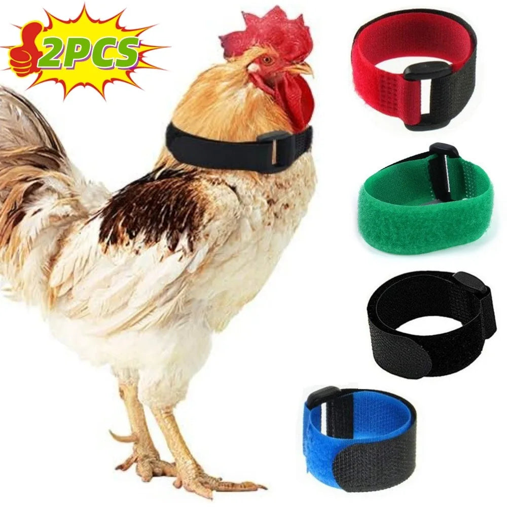 Anti Rooster Crowing Collar with Adjustable Noise Free Nylon Strap To Prevent Chickens From Screaming or Disturbing Neighbors Qme