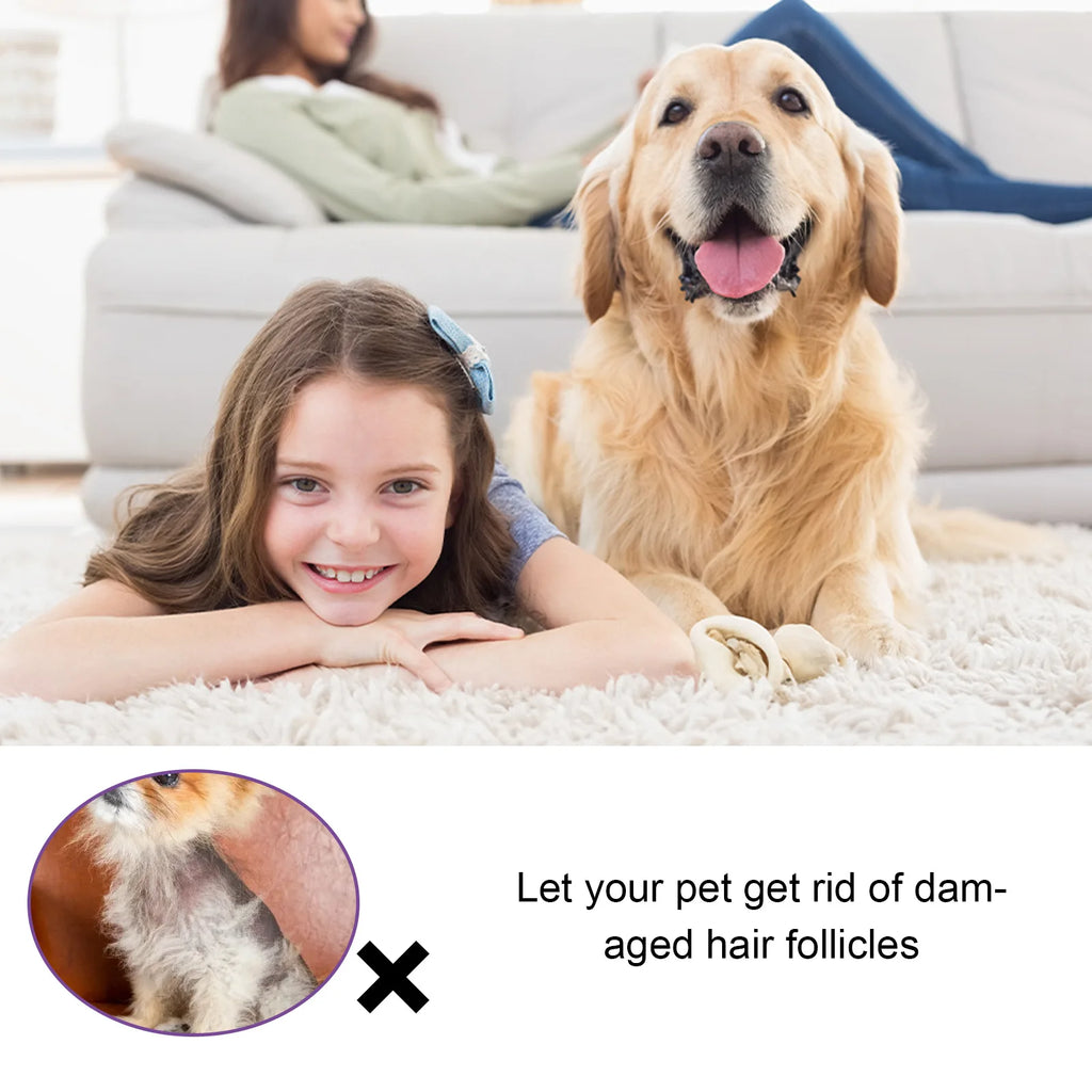Pet Skin Care Spray Hair Regrowth Itch Relief Mite Removal Deodorization Soothing Anti Flea Lice Insect Killer Pet Moss Spray Qme