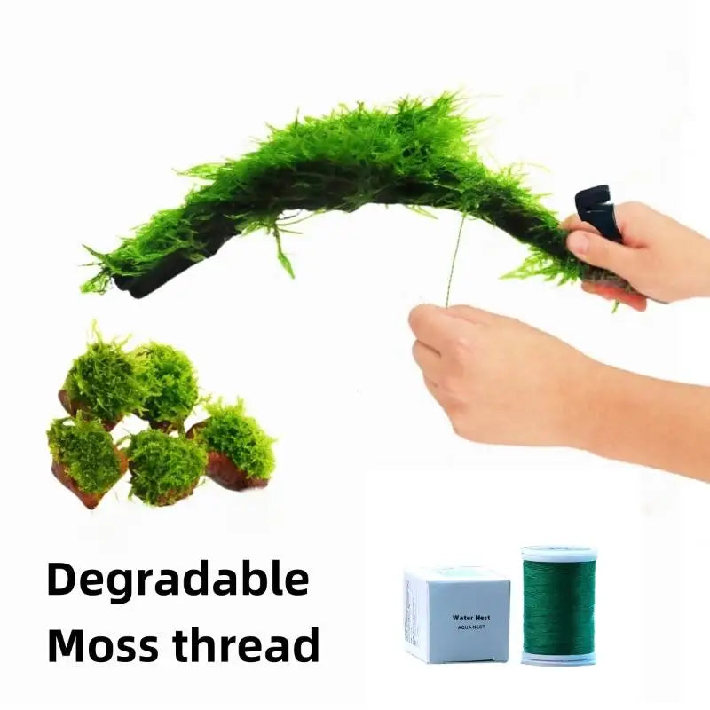 200M Naturally Degradable Moss Thread Cotton Grass Jar Binding Qme