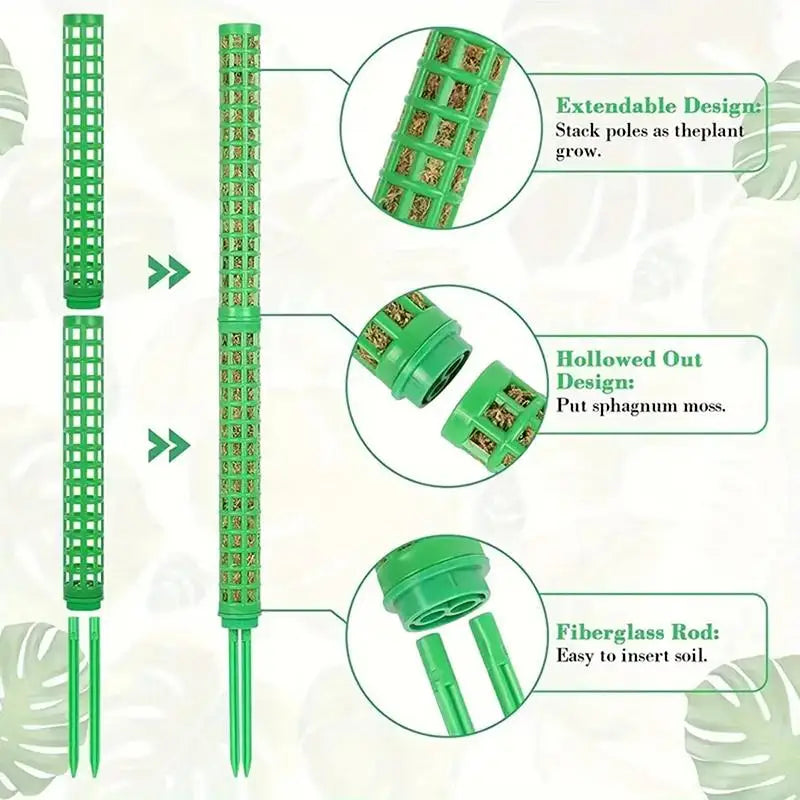 2 4 Monstera Plants Water Moss Poles Plastic Plant Stakes Indoor Qme