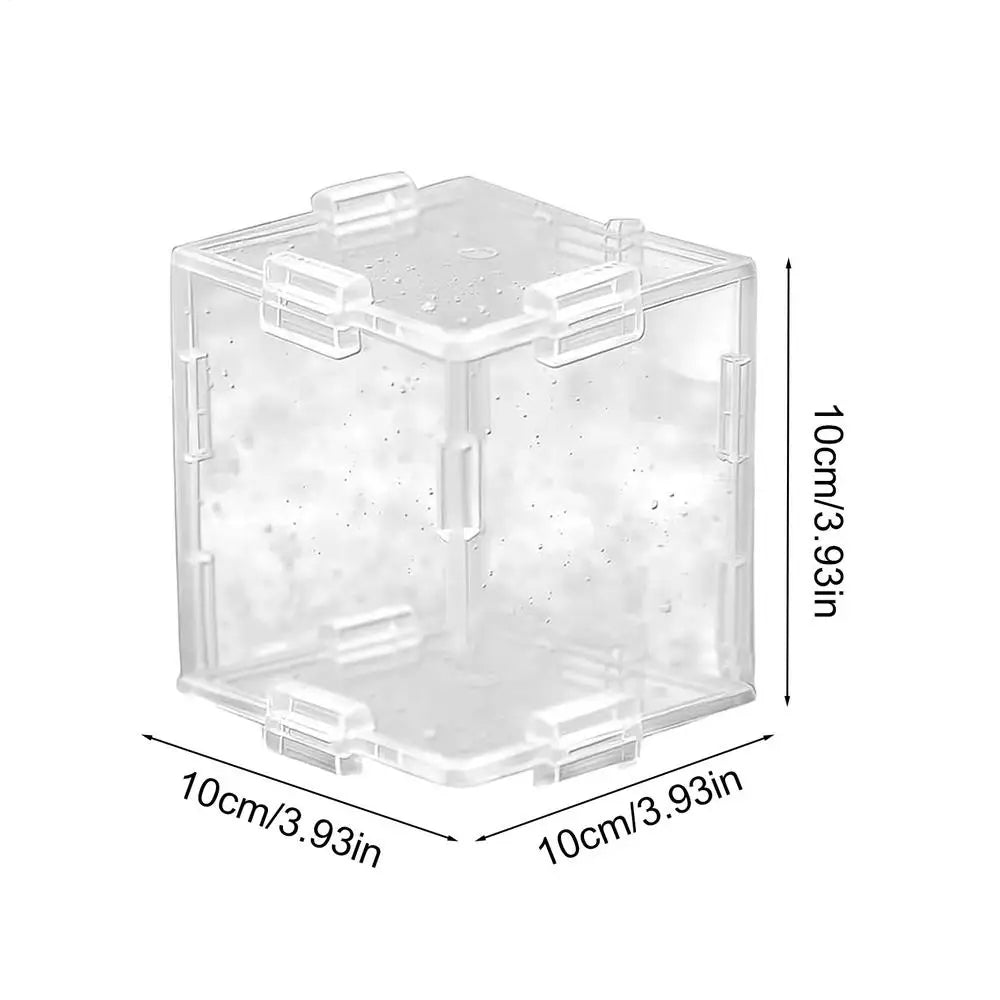 Vegetable Shaping Mold Triangular and Cubic Transparent Mould Reusable Fruit Growing Molds for Cucumber Tomato Strawberry Qme 02