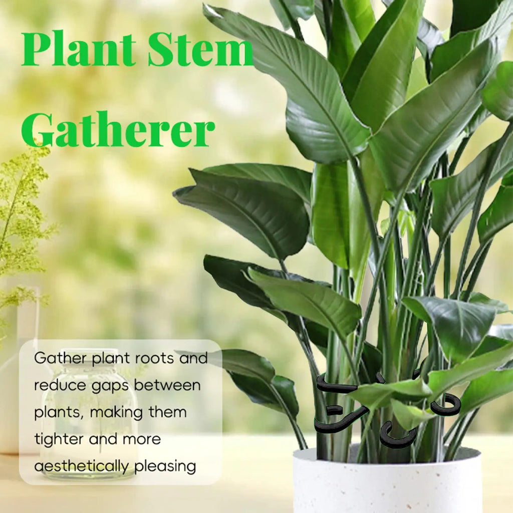 Plant Support 4PCS Climbing Plant Stem Holder Hooks Fixing Clips for Supporting Climbing Alocasia Monstera Vines Flowers Qme