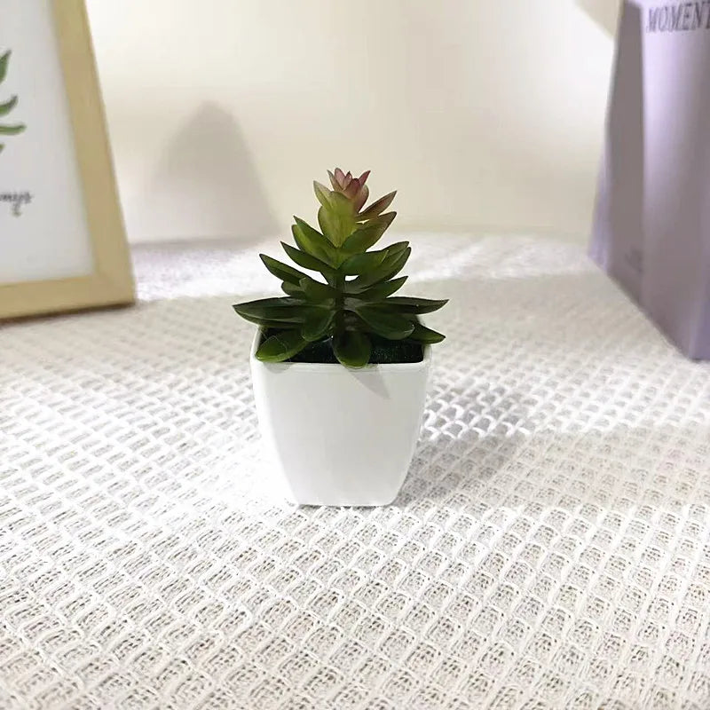 Faux Cactus Arrangements Small Imitation Foliage White Square Planter Qme water lily