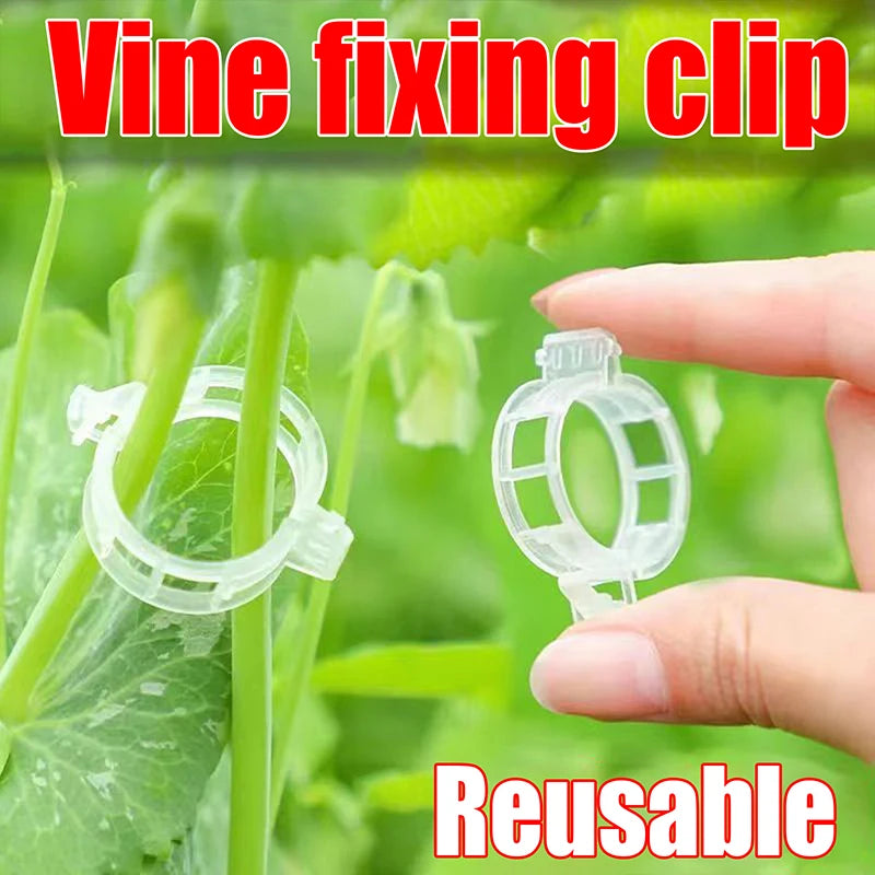 .100Pcs Secured Plastic Plant Clip Upgrade Plant Support Clips Garden Clips For Climbing Plants Support Clips Plant Fixing Clips Qme