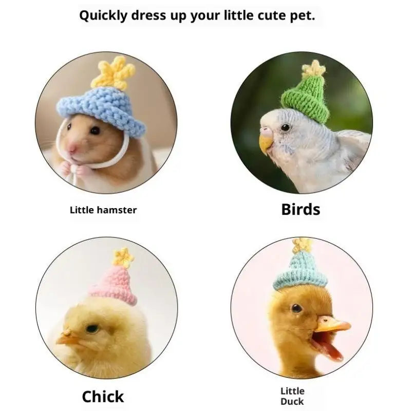 Cute Handmade Knitted Hat Pet Tiny Hamster Parrot Chipmunkguinea Pig Qme