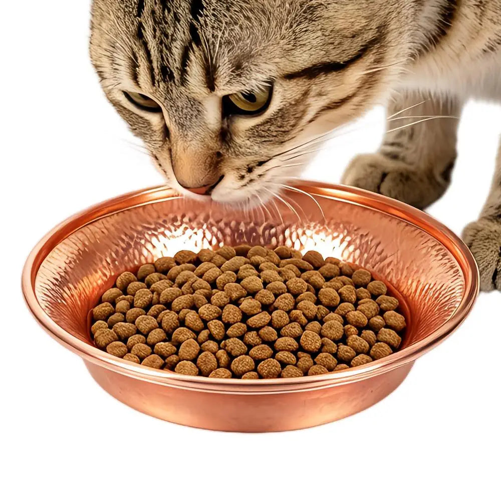 Metal Cat Bowl Non-slip Round Textured Wide Opening Dog Dish Food Qme as showing L China Mainland