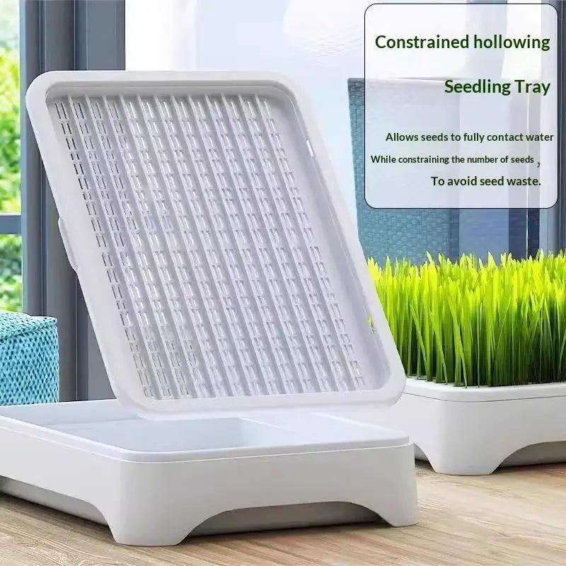 Pet Cat Grass Planting Basin Soilless Culture Wheat Seedling Pot Qme