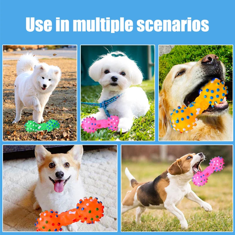 Dog Chew Toy Natural Rubber Safety and Environmental Protection Flexible Bite Resistance Clean Teeth Qme