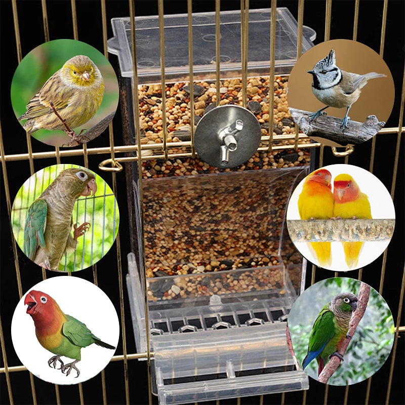 Automatic No Mess Bird Cage Feeder Acrylic Transparent Parrot Seed Qme