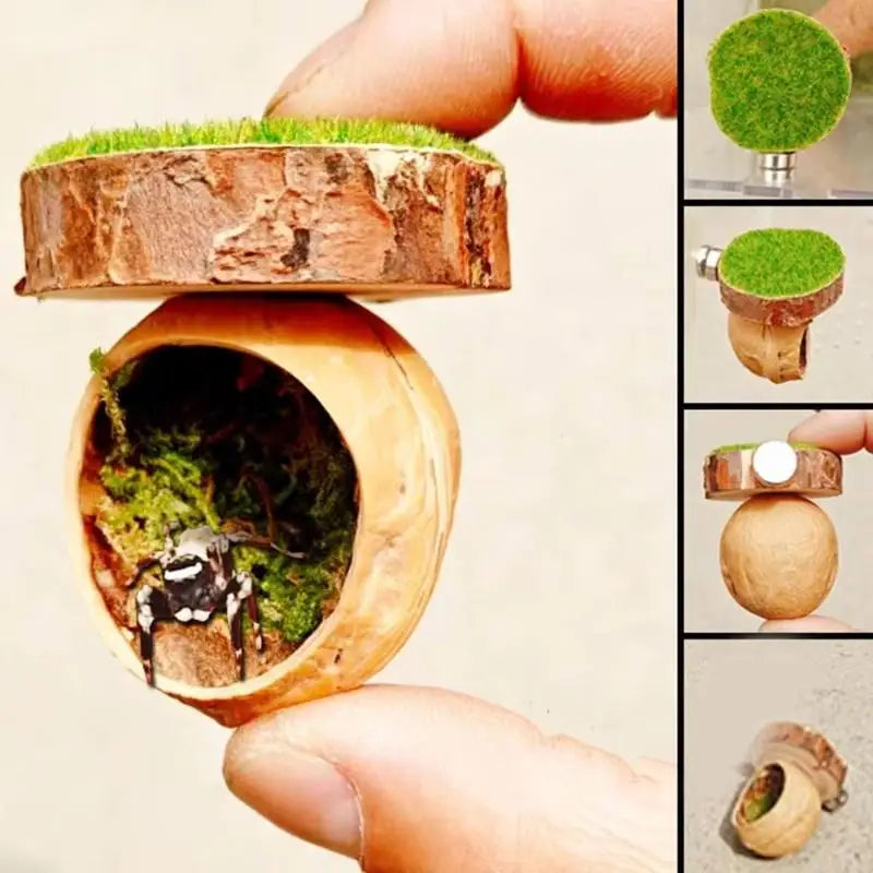 Natural Hide Decorative Jumping Spider Enclosure Decor Handmade Mini Qme