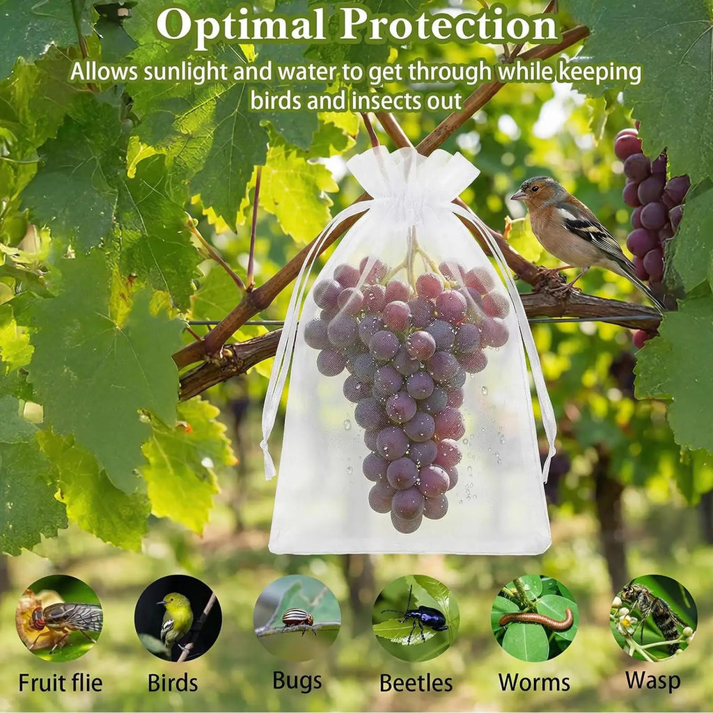 Fruit Protection Bags Reusable Protectors Netting Barrier 100 Pieces Fruit Trees Netting Bags For Grapes Tomato Strawberry Qme