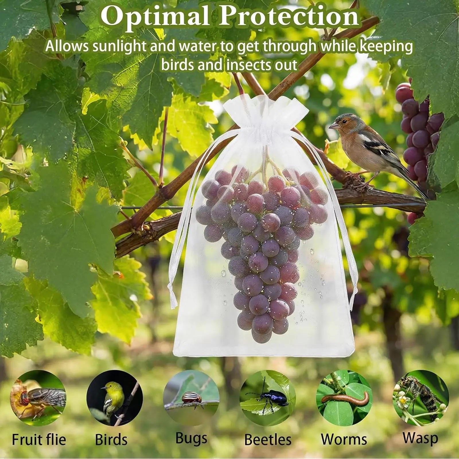Fruit Protection Bags Reusable Protectors Netting Barrier 100 Pieces Fruit Trees Netting Bags For Grapes Tomato Strawberry Qme