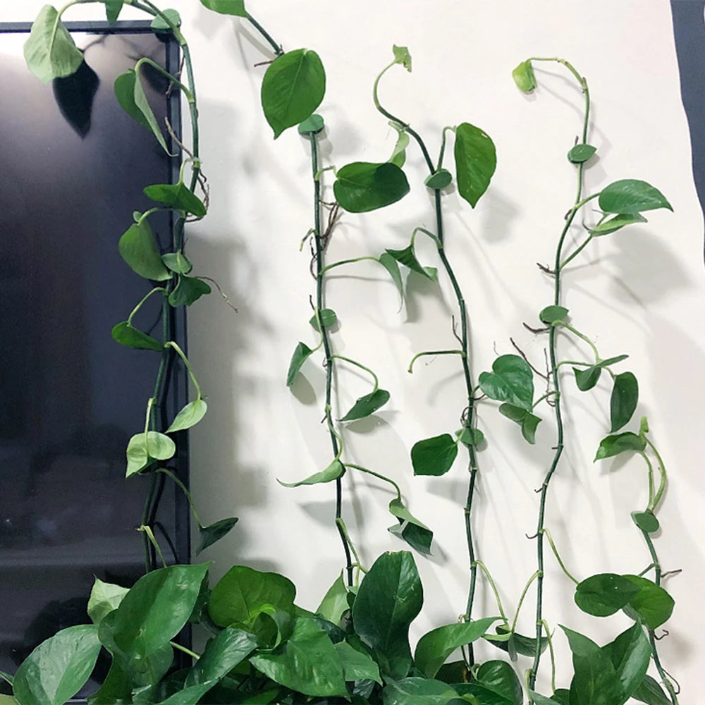 10/20/30Pcs Plant Climbing Wall Fixer Leaf Type Green Plant Invisible Fixing Device Vine Clip Fastener Snap Traction Shaping Qme